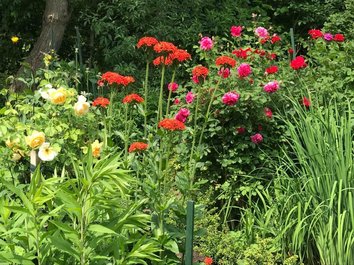 Gartenhaus Frieda Galmsbull Ngoại thất bức ảnh