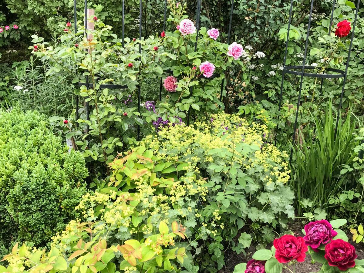 Gartenhaus Frieda Galmsbull Ngoại thất bức ảnh
